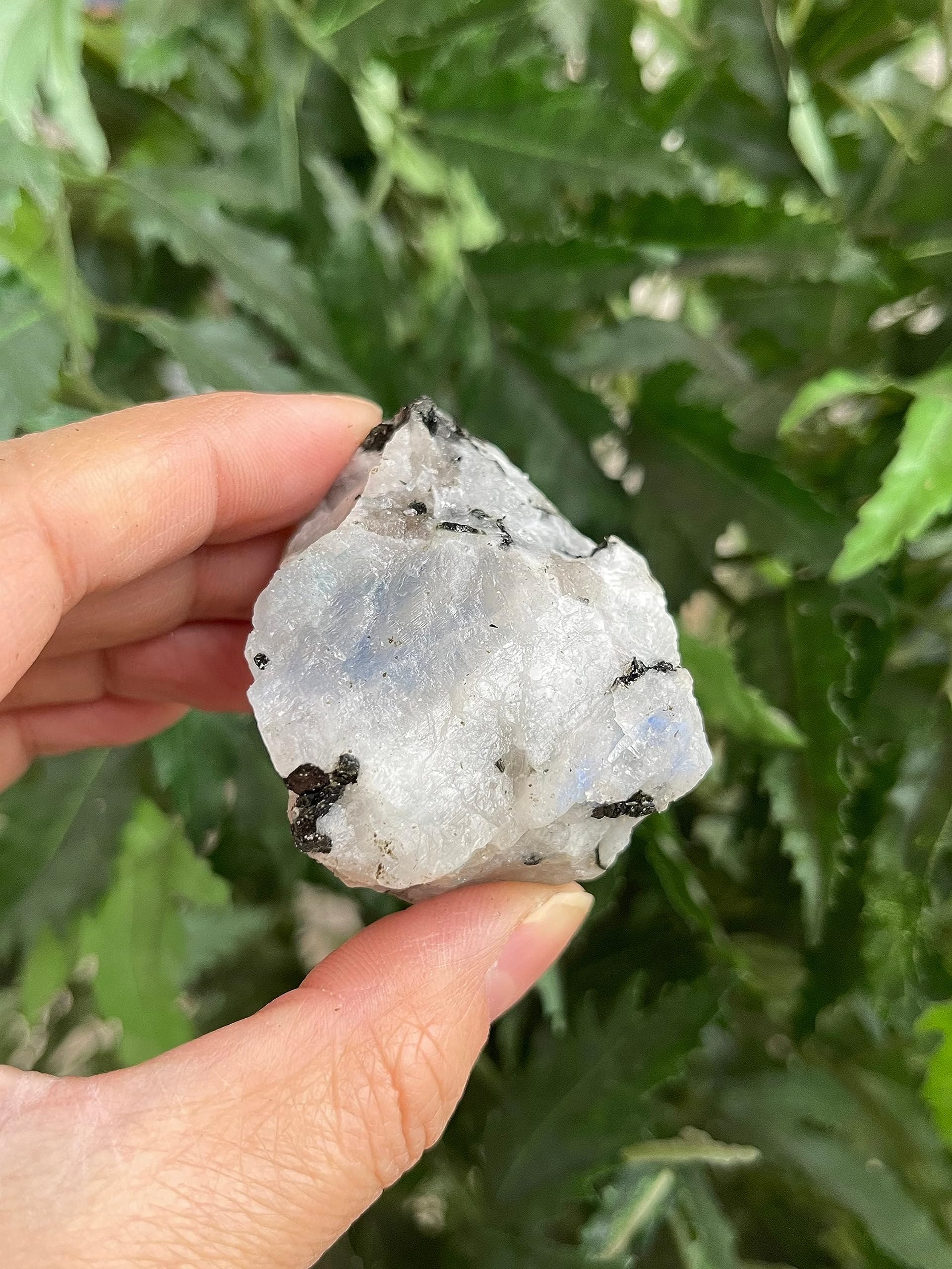 Amazon.com: GAF TREASURES Wholesale Raw Rainbow Moonstone
